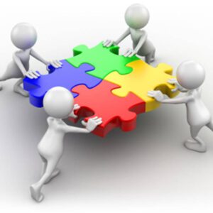 ORGANISATIE-READING